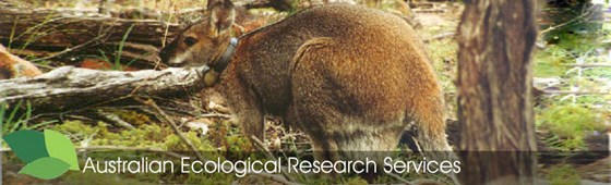 Australian Ecological Research Services: Let’s make this globe a better residing place