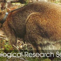 Портфолио Samuel Faunce